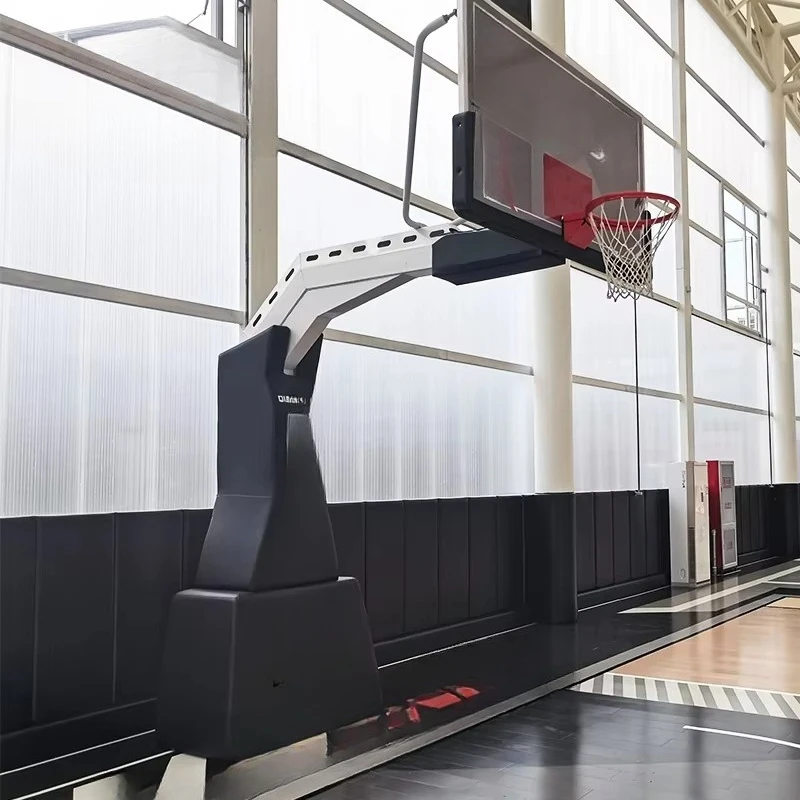 FIBA Approved Professional Bas - Basketball Hoop 评论和价格